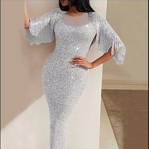 Sparkly Silver Dress w/Fringe (M)